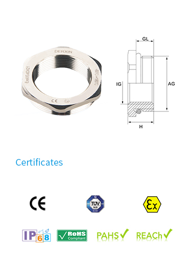 DEK-T-Exe-RS NPT/NPT